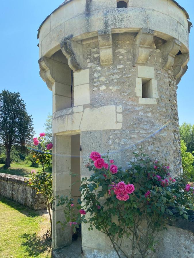 Domaine De Migny Villa Saint-Cyran-du-Jambot Luaran gambar